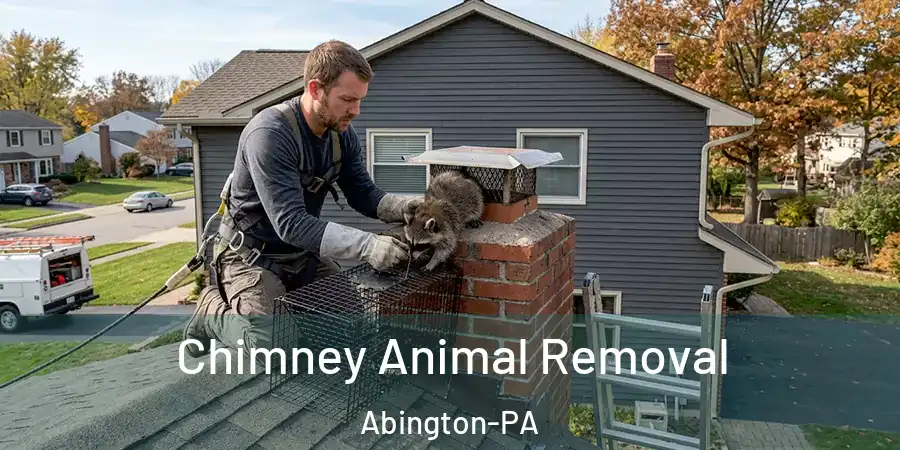 Chimney Animal Removal Abington-PA