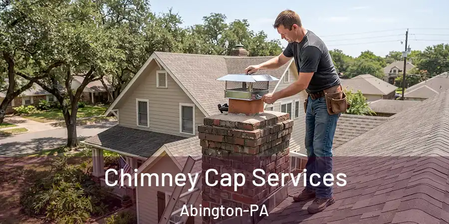  Chimney Cap Services Abington-PA